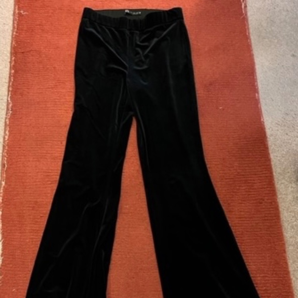 Velvet Zara flare pants